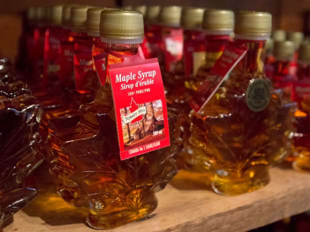 A Quebec provincial report warns that New York State alone boasts more maple trees than Quebec, and the United States could become self-sufficient in maple syrup in 10 years, destroying the province's biggest syrup export market.