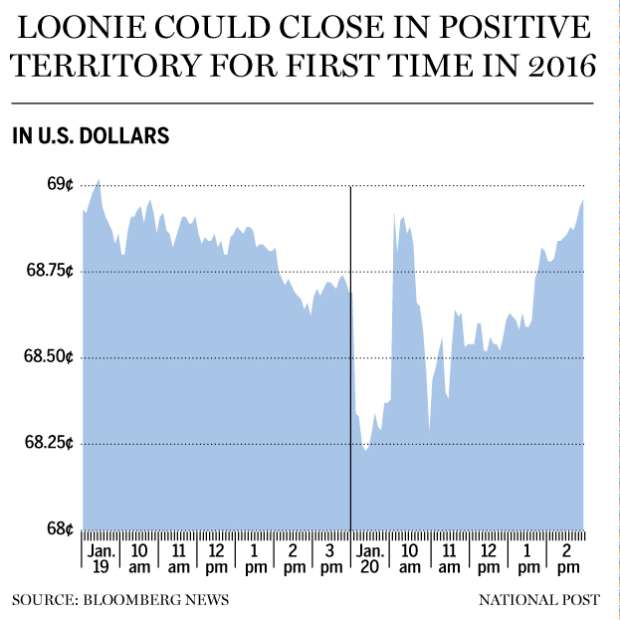 FP0120_loonie-GS