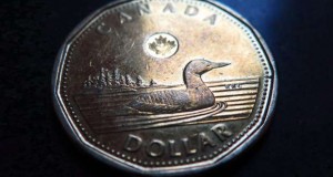 0331loonie.jpg